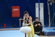 İlin son gimnastika yarışı başladı (FOTO)