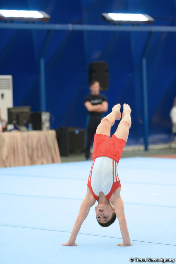 İlin son gimnastika yarışı başladı (FOTO)