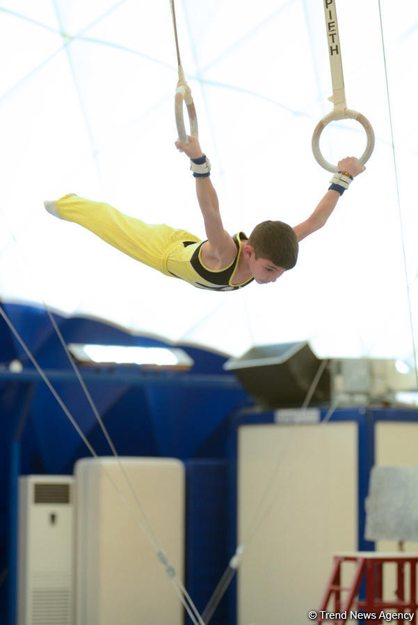 İlin son gimnastika yarışı başladı (FOTO)