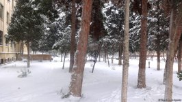 Mənzərəsi dəyişən Bakı (FOTOSESSİYA)