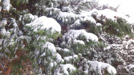 Mənzərəsi dəyişən Bakı (FOTOSESSİYA)