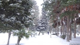 Mənzərəsi dəyişən Bakı (FOTOSESSİYA)