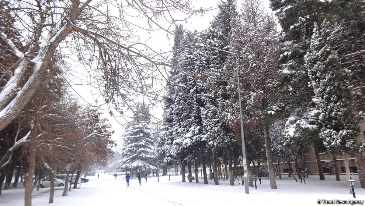 Mənzərəsi dəyişən Bakı (FOTOSESSİYA)