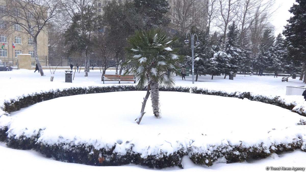 Mənzərəsi dəyişən Bakı (FOTOSESSİYA)