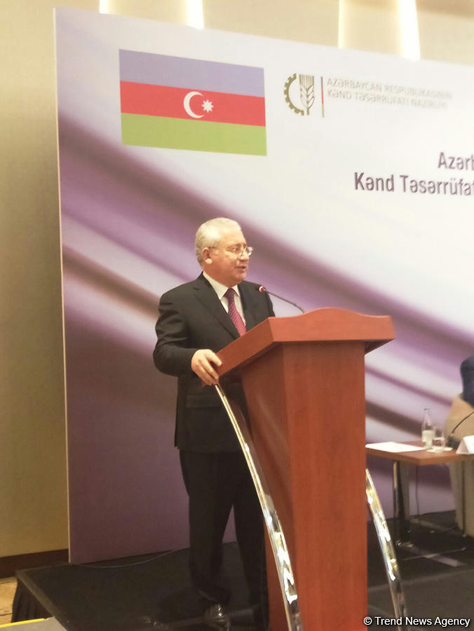 Azərbaycan Türkiyəyə iqtisadi əməkdaşlıq formatını dəyişməyi təklif edib (YENİLƏNİB) (FOTO)