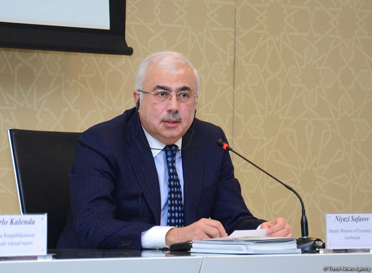 Azərbaycan İtaliya ilə əməkdaşlığın prioritet sahələrini müəyyən edib (FOTO)