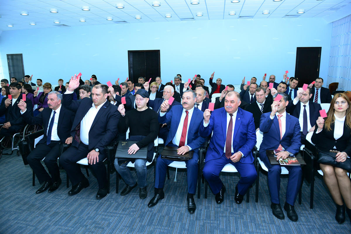İlham Zəkiyev Milli Paralimpiya Komitəsinin vitse-prezidenti oldu (FOTO)