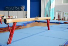 İdman gimnastikası üzrə Dünya Kuboku Bakıda iştirakçılarını gözləyir (FOTOREPORTAJ)