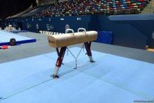 İdman gimnastikası üzrə Dünya Kuboku Bakıda iştirakçılarını gözləyir (FOTOREPORTAJ)