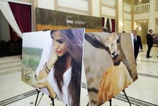 Leyla Əliyeva “Azərbaycan. Ceyranların xilası” sənədli filminin təqdimatında iştirak edib (FOTO)