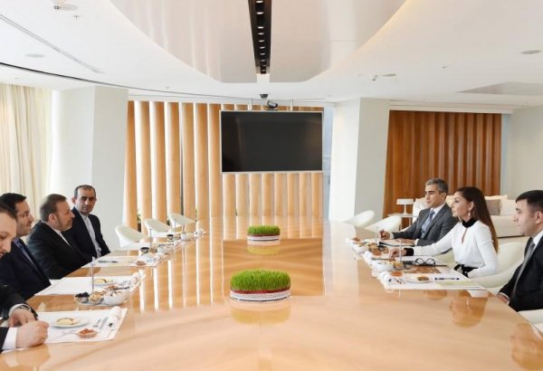 Birinci vitse-prezident Mehriban Əliyeva iranlı nazirin rəhbərlik etdiyi nümayəndə heyəti ilə görüşüb (FOTO)