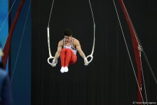 Bakıda idman gimnastikası üzrə Dünya Kubokunda üçüncü günün ən gözəl anları (FOTO)