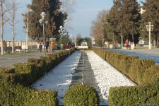 Baharın bir anı - Gəncədə (FOTO)