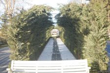 Baharın bir anı - Gəncədə (FOTO)