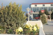 Baharın bir anı - Gəncədə (FOTO)