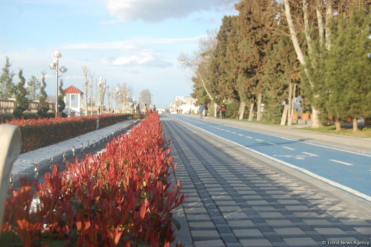 Baharın bir anı - Gəncədə (FOTO)