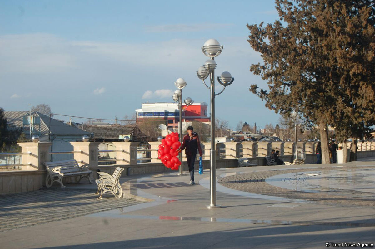 Baharın bir anı - Gəncədə (FOTO)