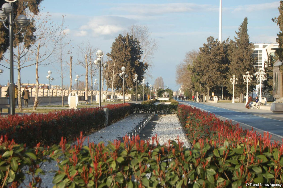 Baharın bir anı - Gəncədə (FOTO)