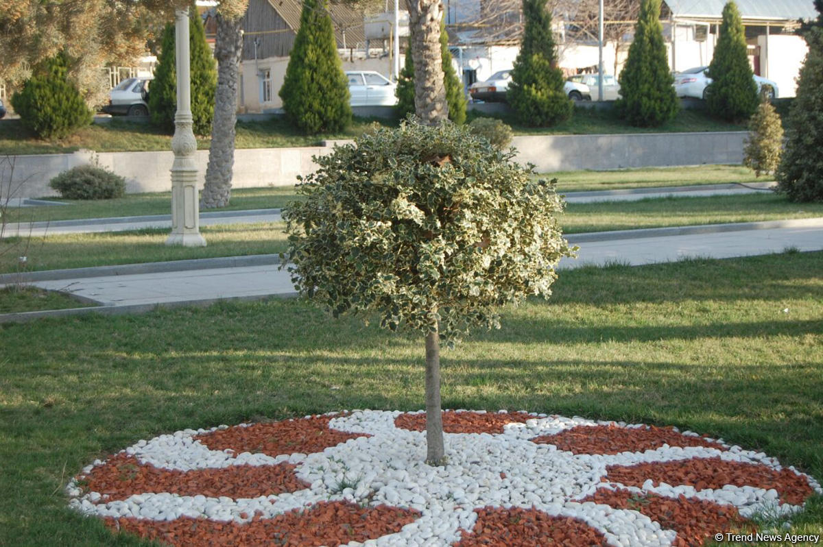 Baharın bir anı - Gəncədə (FOTO)