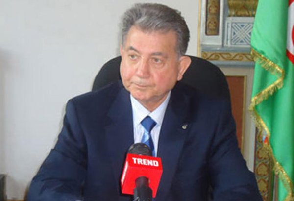 Akif Əlizadə: Elmi potensialın inkişafı dövlətin qarşısında duran əsas vəzifələrdəndir