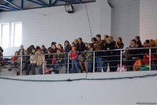 Bədii gimnastika üzrə "Zabrat Kuboku" açıq birinciliyi keçirilib (FOTO)