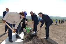 Leyla Əliyeva İsmayıllıda aztəminatlı ailələr üçün meyvə bağlarının salınmasında iştirak edib (FOTO)