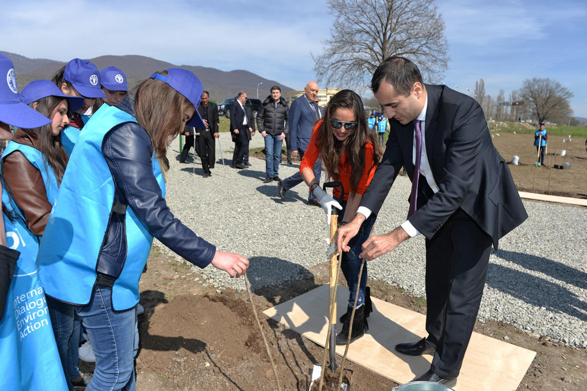 Leyla Əliyeva İsmayıllıda aztəminatlı ailələr üçün meyvə bağlarının salınmasında iştirak edib (FOTO)