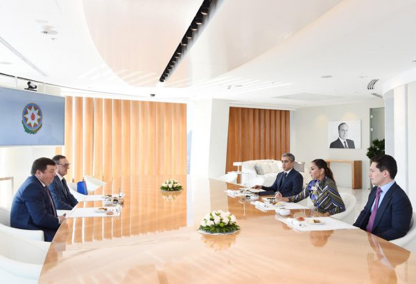 Birinci vitse-prezident Mehriban Əliyeva İ.M.Seçenov adına Birinci Moskva Dövlət Tibb Universitetinin rektoru ilə görüşüb (FOTO)