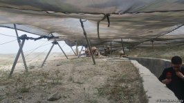 Azərbaycan-Türkiyə birgə hərbi təlimlərindən görüntülər (FOTO) (YENİLƏNİB)