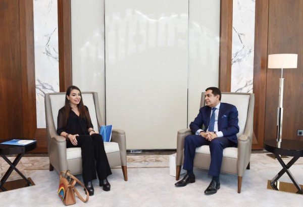 Heydər Əliyev Fondunun vitse-prezidenti Leyla Əliyeva BMT-nin Sivilizasiyalar Alyansı üzrə ali nümayəndəsi ilə görüşüb (FOTO)