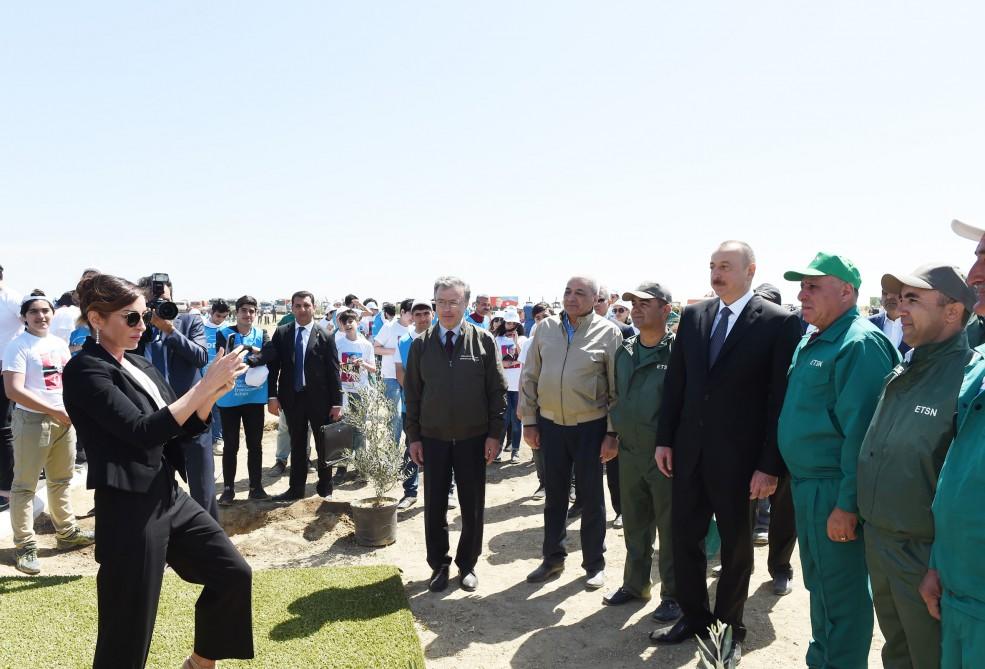 Prezident İlham Əliyev və xanımı ulu öndər Heydər Əliyevin doğum gününə həsr olunan ağacəkmə aksiyasında iştirak ediblər (YENİLƏNİB) (FOTO)