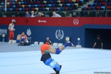 Bakı-2017: İdman gimnastlarının podium məşqləri (FOTOREPORTAJ)