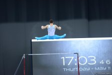Bakı-2017: İdman gimnastlarının podium məşqləri (FOTOREPORTAJ)