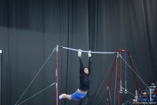 Bakı-2017: İdman gimnastlarının podium məşqləri (FOTOREPORTAJ)