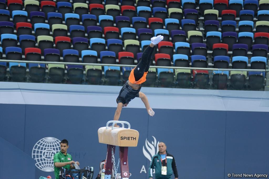 Bakı-2017: İdman gimnastlarının podium məşqləri (FOTOREPORTAJ)