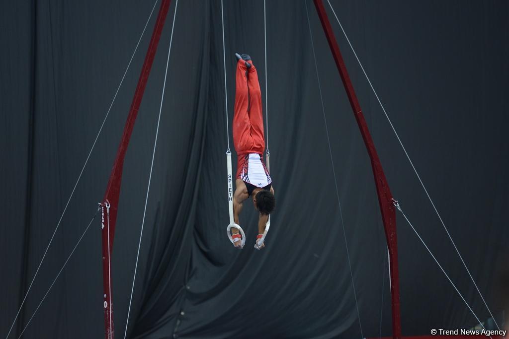 Bakı-2017: İdman gimnastlarının podium məşqləri (FOTOREPORTAJ)