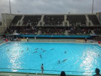 Azərbaycanın su polosu üzrə yığması İndoneziya yığmasını məğlub etdi (FOTO)