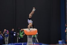 Bakı-2017: İdman gimnastikası yarışlarında final günü (FOTO)