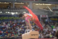 Bakı-2017: İdman gimnastikası yarışlarında final günü (FOTO)