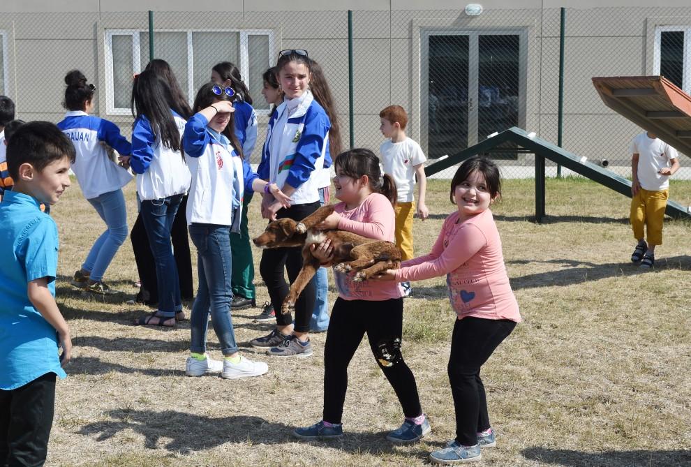 Leyla Əliyeva IDEA Heyvanlara Qayğı Mərkəzində sağlamlıq imkanları məhdud uşaqlar üçün təşkil edilən tədbirdə iştirak edib (FOTO)