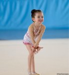 Bədii gimnastika üzrə "Nar şahzadəsi" və Göyçay Açıq birinciliyinə start verilib (FOTO)
