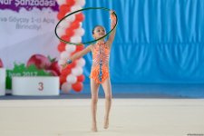 Bədii gimnastika üzrə "Nar şahzadəsi" və Göyçay Açıq birinciliyinə start verilib (FOTO)