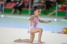 Bədii gimnastika üzrə "Nar şahzadəsi" və Göyçay Açıq birinciliyinə start verilib (FOTO)