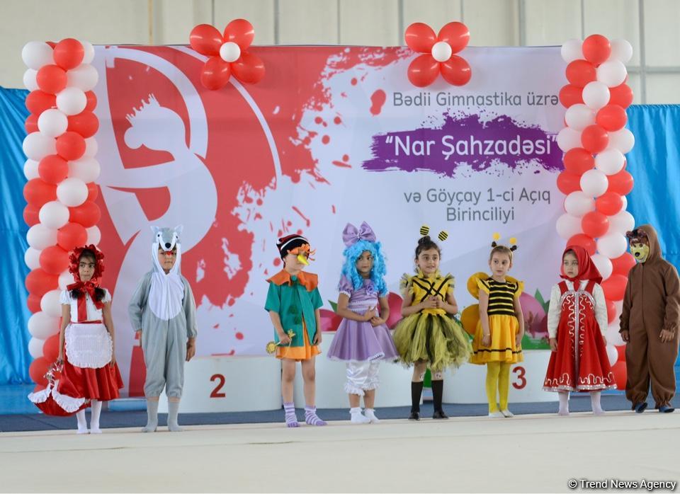 Bədii gimnastika üzrə "Nar şahzadəsi" və Göyçay Açıq birinciliyinə start verilib (FOTO)