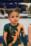 İdman və akrobatika gimnastikası üzrə Bakı çempionatı və Azərbaycan birinciliklərinə start verildi (FOTO)