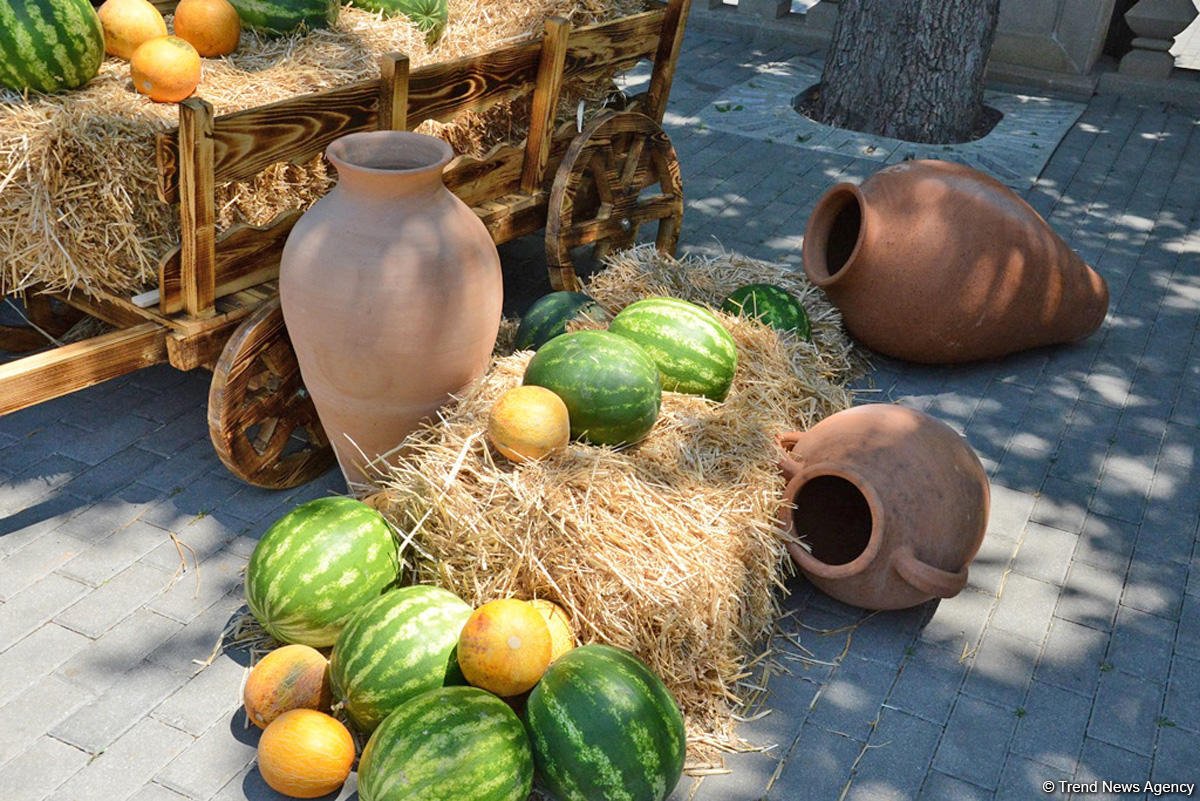 Bakıda "F1 Village" əyləncə zonası (FOTO)