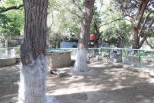 Leyla Əliyevanın təşəbbüsü ilə Bakı Zooloji Parkında yenidənqurma işləri başlayır (FOTO)