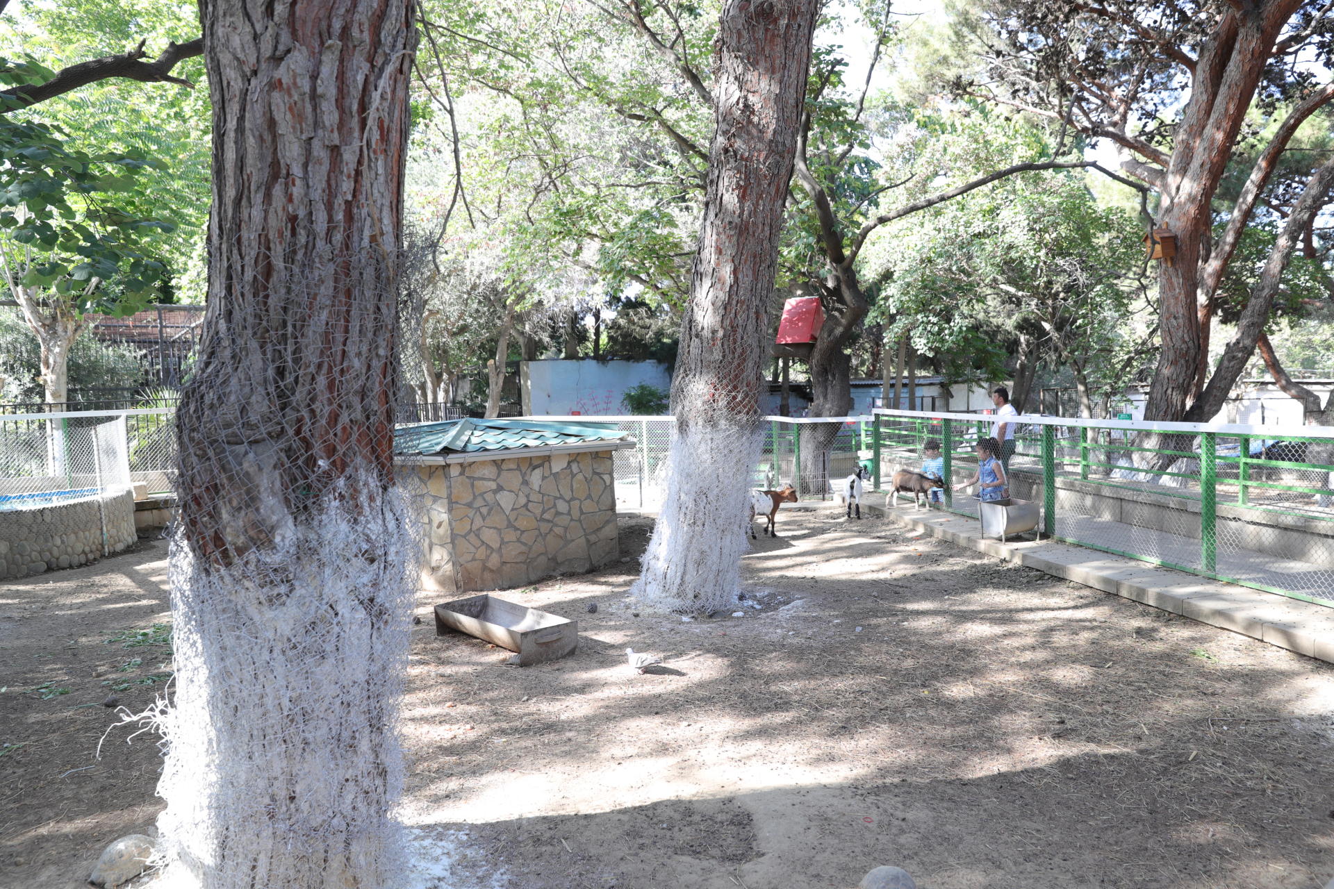Leyla Əliyevanın təşəbbüsü ilə Bakı Zooloji Parkında yenidənqurma işləri başlayır (FOTO)