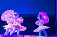 Ermənilərin beynəlxalq festival-müsabiqədə təxribatının qarşısı alınıb (VİDEO/FOTO)