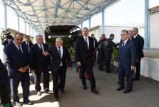 Prezident İlham Əliyev Qaxda tütün qəbulu məntəqəsində yaradılan şəraitlə tanış olub (FOTO)